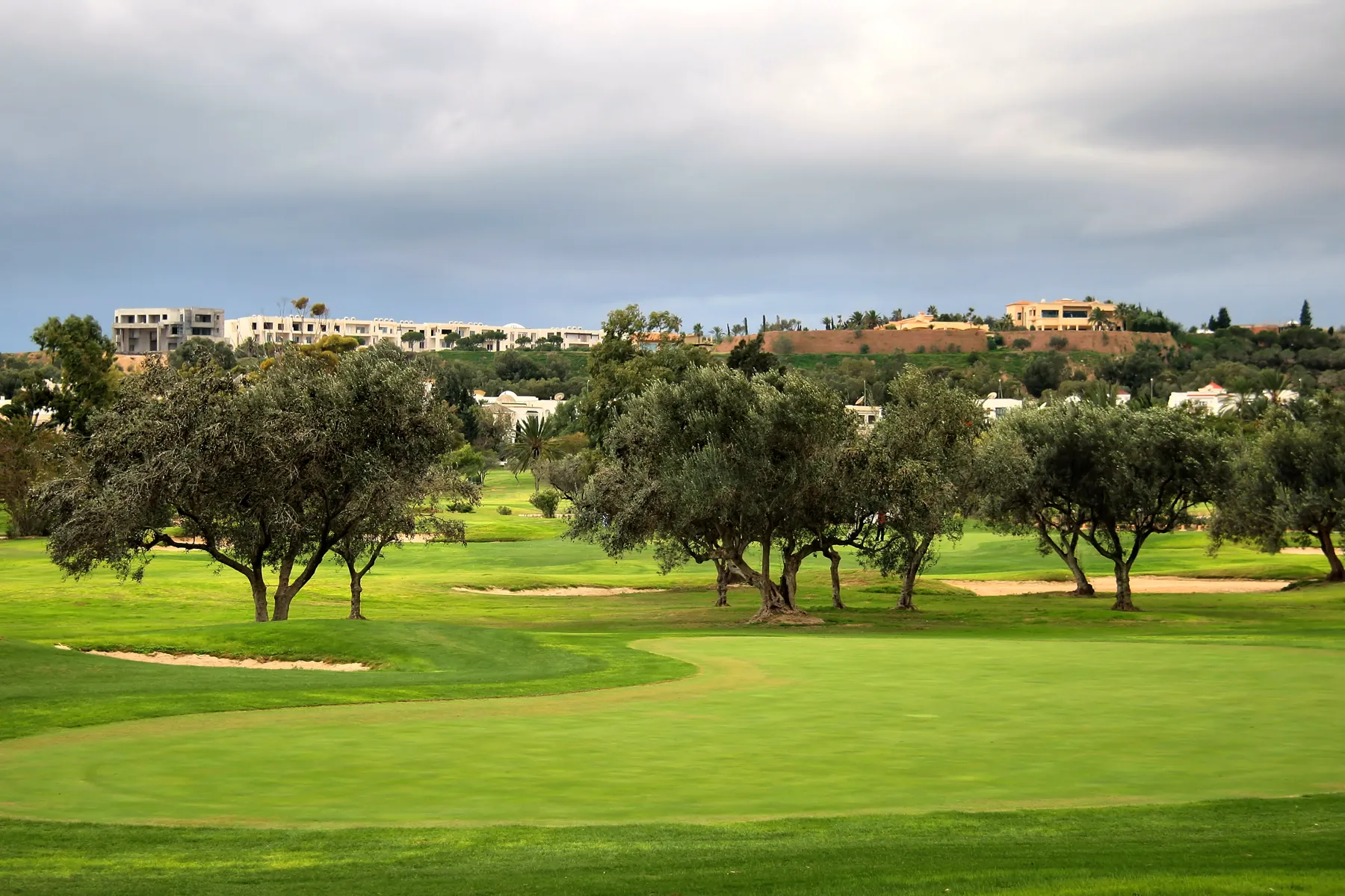 Le golf d'El Kantaoui bordé d'oliviers